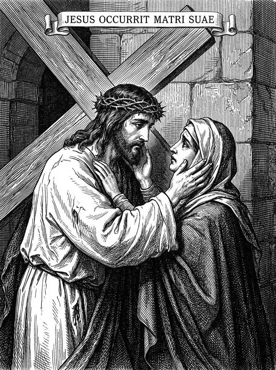 Station 9 - Series 2026